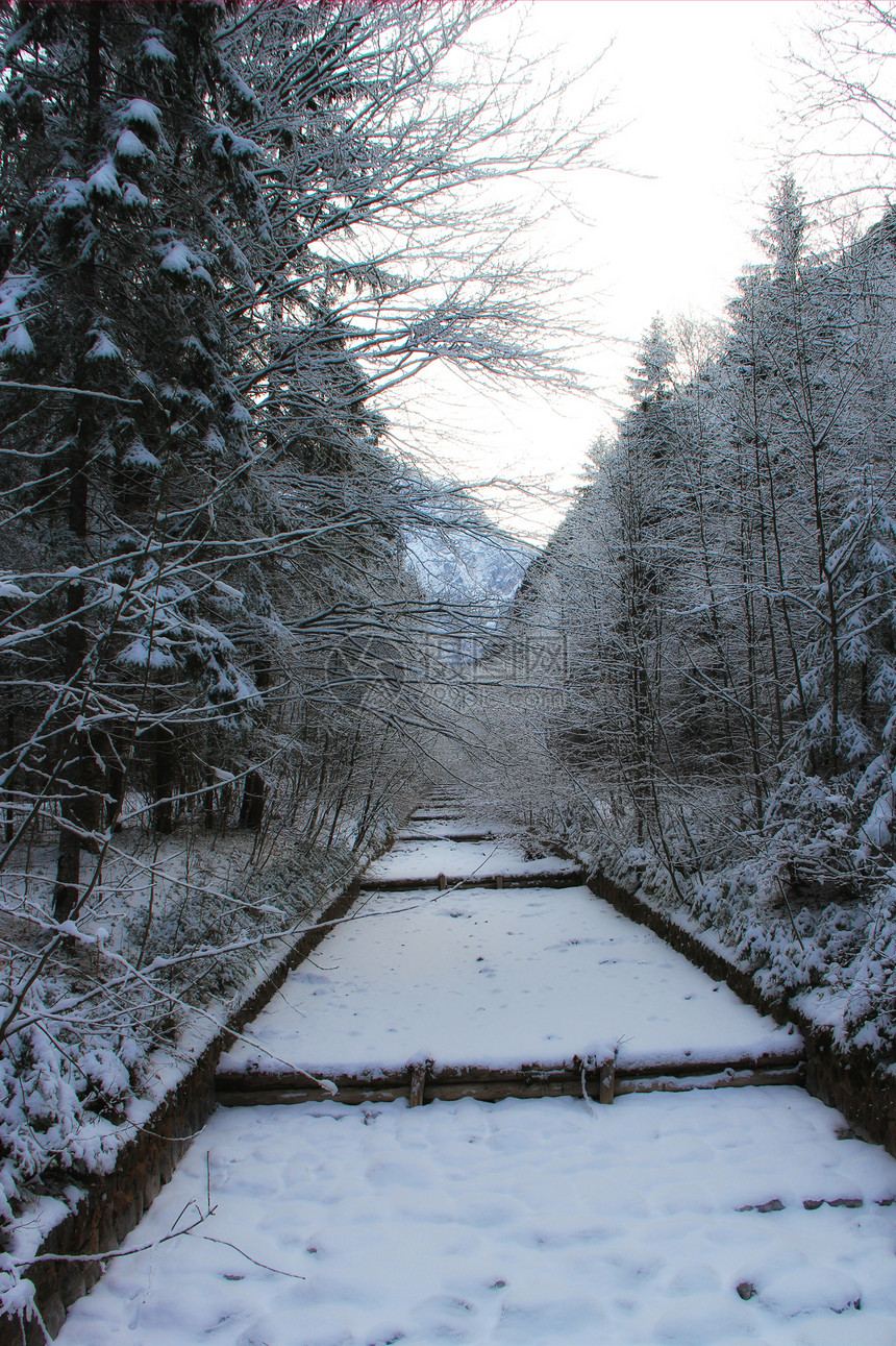 河流溪流荒野树木冻结环境天气公园季节木头风景图片