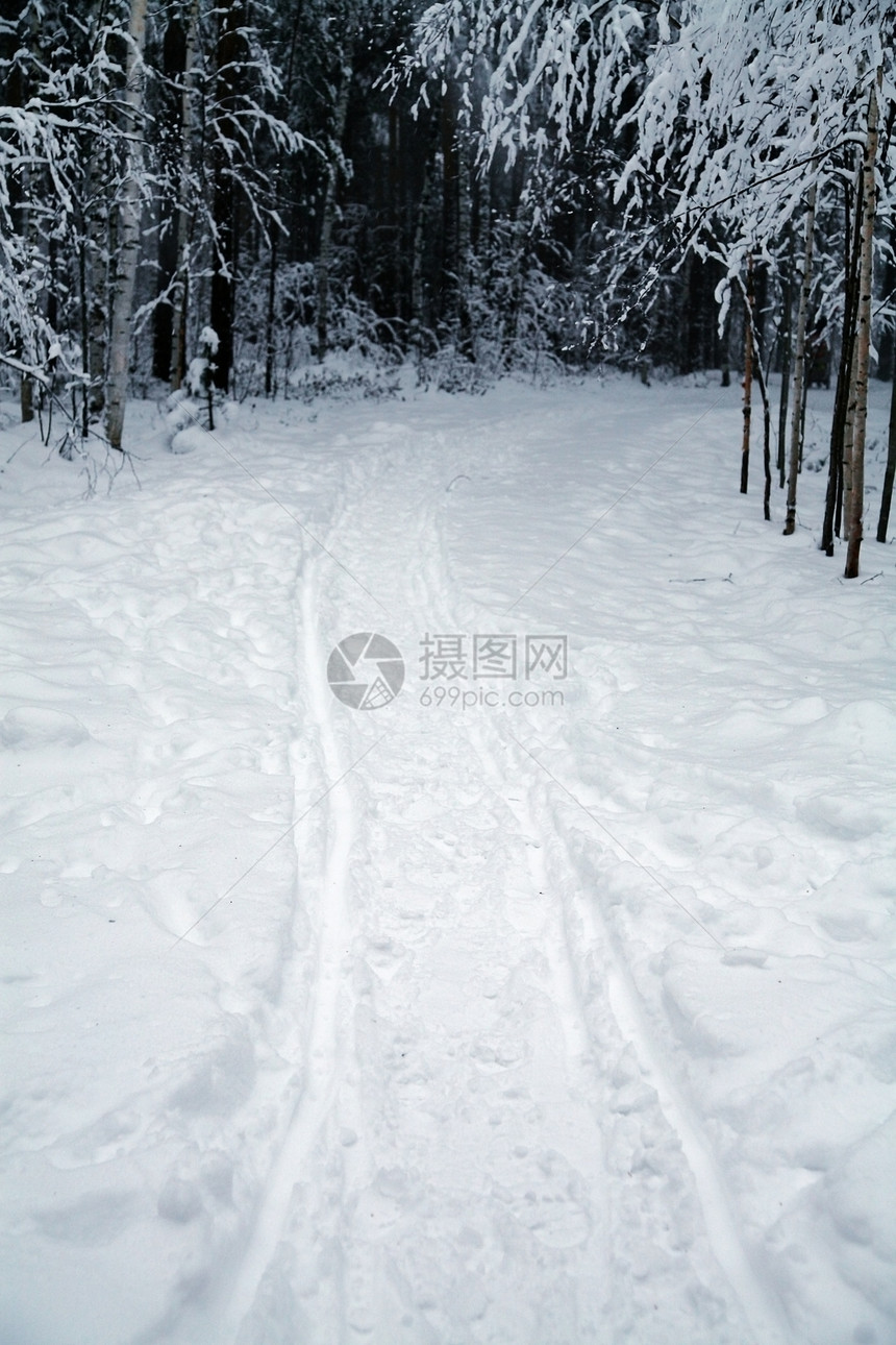 冬夜前在森林里滑雪图片