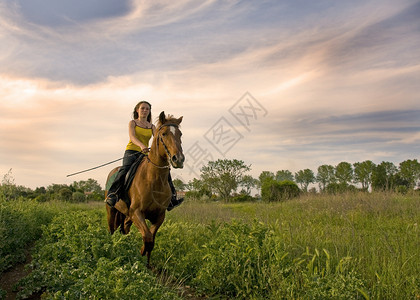 骑马女童运动天空女士幸福场地风暴动物棕色背景图片