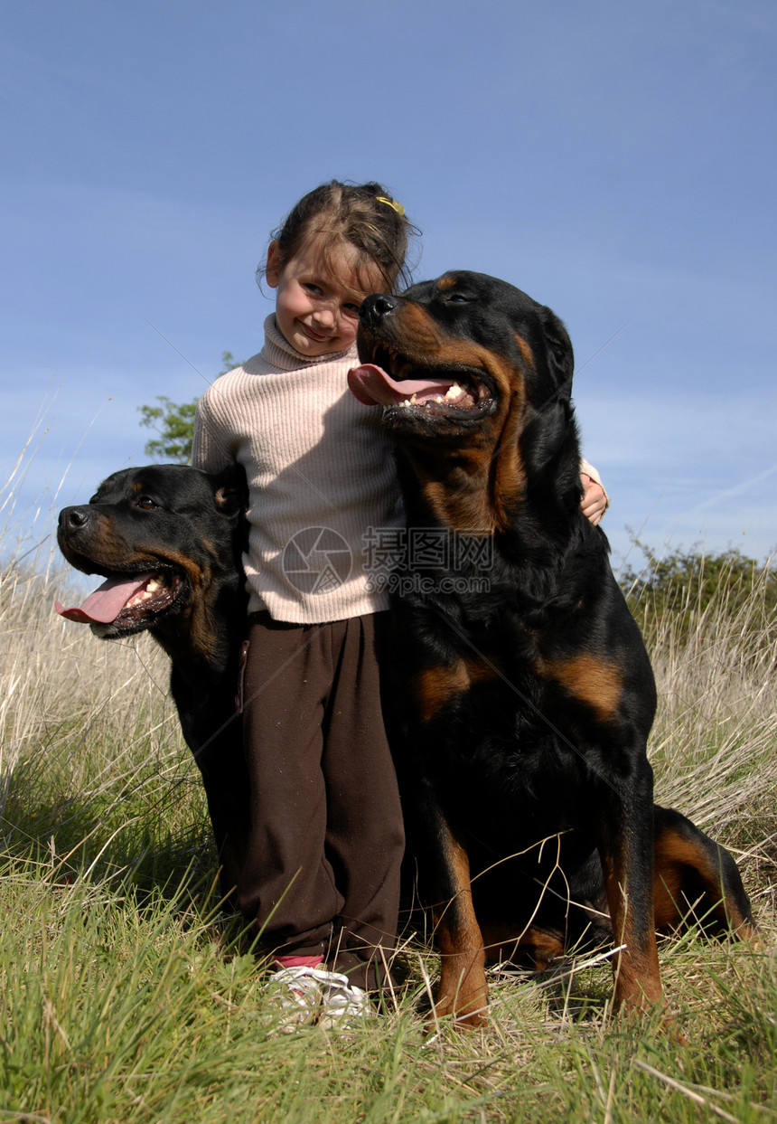 危险狗和儿童黑色宠物惊喜攻击微笑伴侣小狗风险朋友女孩图片