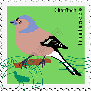 带有鸟形图象的印章森林横幅旗帜边界办公室野生动物邮票互联网荒野背景图片