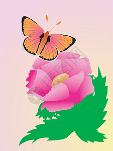 带有蝴蝶的抽象构成框架花卉纹理背景装饰品图案背景图片
