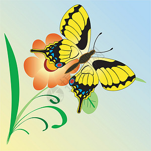 带有蝴蝶的抽象构成纹理花卉装饰品框架图案背景背景图片