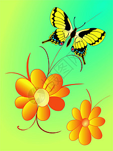 带有蝴蝶的抽象构成装饰品花卉纹理框架背景图案背景图片