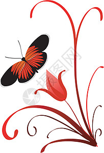 带有蝴蝶的抽象构成装饰品花卉框架背景图案纹理背景图片