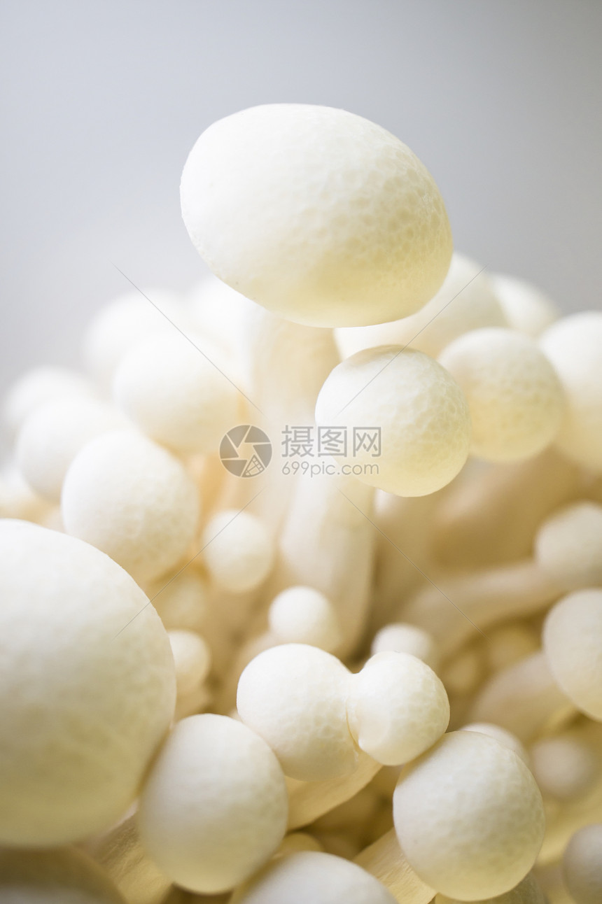 白白色Shimeji烹饪山毛榉宏观杂货店美食团体营养素营养蔬菜孢子图片