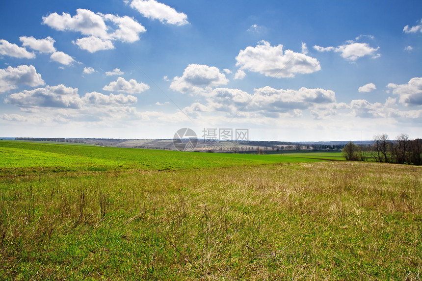 草原上的春天农业环境牧场孤独植物城市天气爬坡太阳场景图片