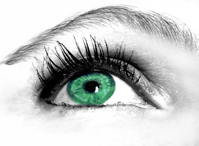 美丽的眼睛瞳孔蓝色眉头化妆品睫毛绿色背景图片