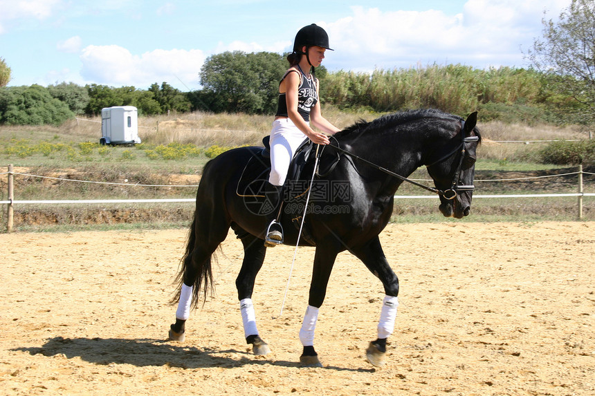 和有马的装饰的妇女天空训练蓝色竞赛马术动物青少年运动舞步骑马图片
