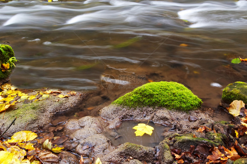 河流之间的青叶石头公园溪流生态叶子岩石荒野速度瀑布图片