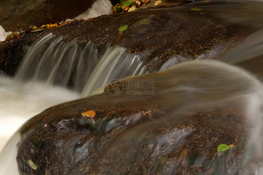 在一条河流中叶子荒野木头公园生态速度森林石头岩石溪流图片