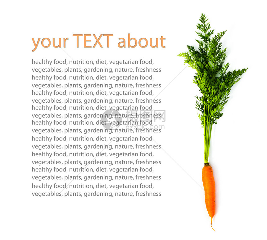 胡萝饮食生活橙子绿色植物蔬菜图片