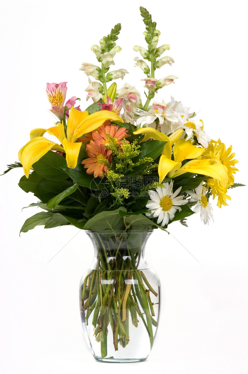 花花布礼物雏菊展示花束百合花瓶花瓣树叶植物学生日图片