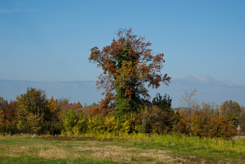 意大利维内托农村地貌田园天空风光季节阳光蓝色绿色风景图片