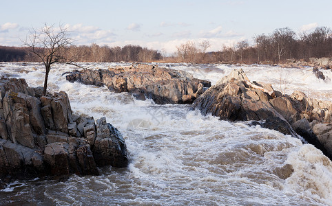 华盛顿市外波托马克大瀑布危险岩石洪水树木急流激流公园直流电巨石瀑布背景图片