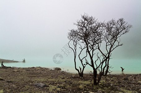 火山学平静的湖与死树背景