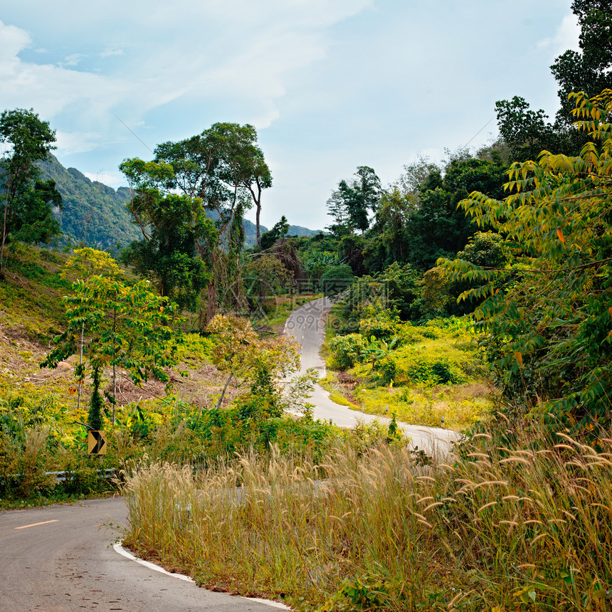 泰国公路网泰国高速公路场景荒野国家棕榈晴天风景土地丛林森林正方形图片