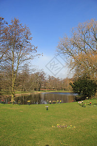 池塘和池塘蓝色花朵树木火葬场绿色天空崇拜背景图片