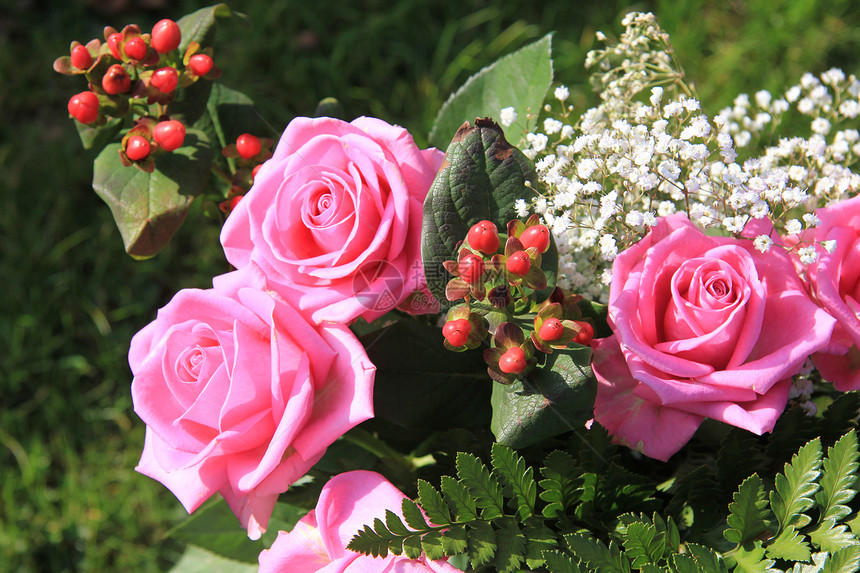 太阳下大粉红玫瑰花朵植物植物群花束植物学绿色花瓣花店玫瑰图片