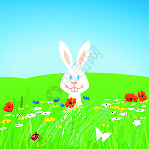 野兔在草甸草地上的兔子宠物雏菊毛皮一山经理野兔白色草坪草甸儿童插画
