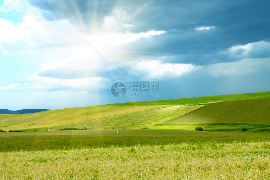 明亮的太阳照耀青草和蓝天空图片