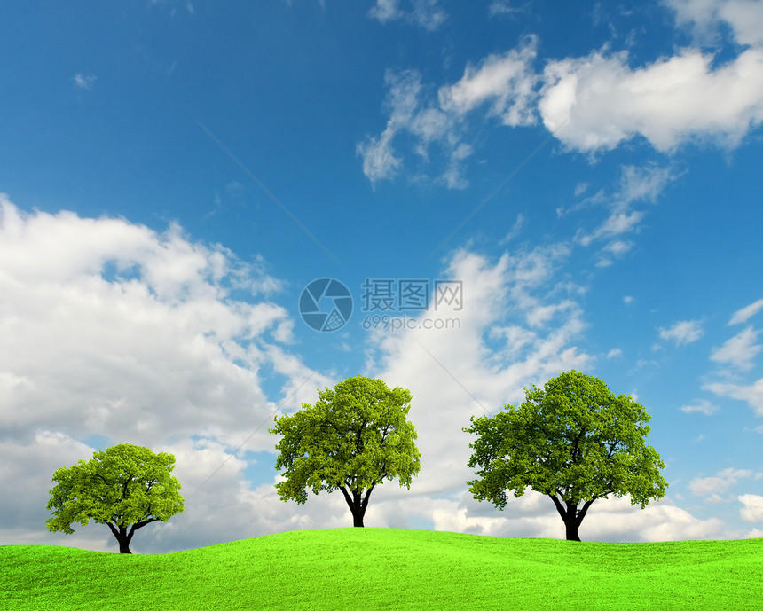 田野中的绿树生态环境全景季节地平线蓝色阳光橡木天气太阳图片