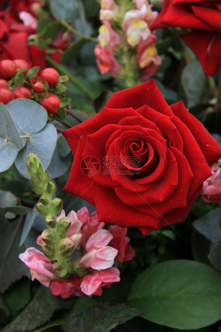 单红玫瑰粉色花朵花瓣植物群红色花束绿色花店植物植物学图片