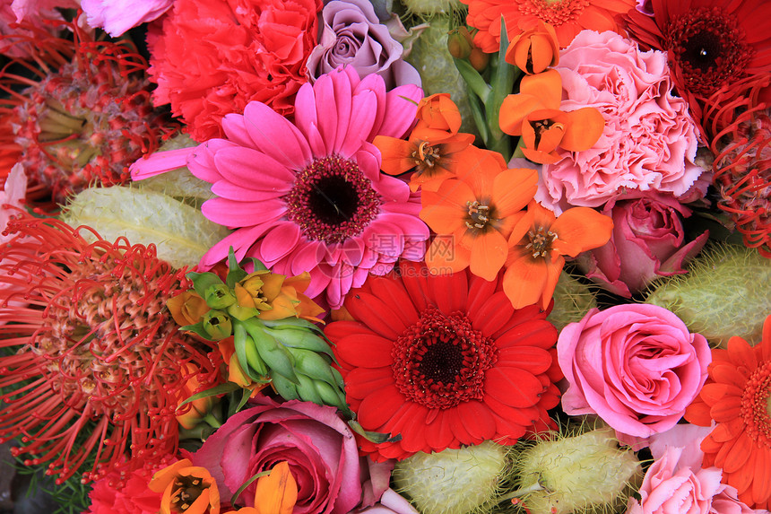 红色 粉红和橙色花朵安排粉色花瓣花束植物橙子植物群花店绿色植物学图片