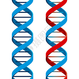 螺旋DNA无缝DNA染色体微生物学医学绘画红色科学医疗保健生活生物背景