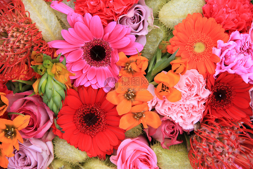 红色 粉红和橙色花朵安排植物群花店植物学花瓣花束植物粉色绿色橙子图片