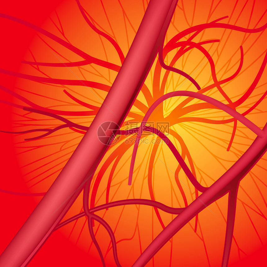 血液血系统医疗器官绘画光栅化血管医学插图红色循环保健图片