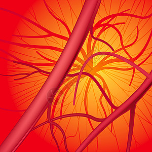 血液血系统医疗器官绘画光栅化血管医学插图红色循环保健背景图片