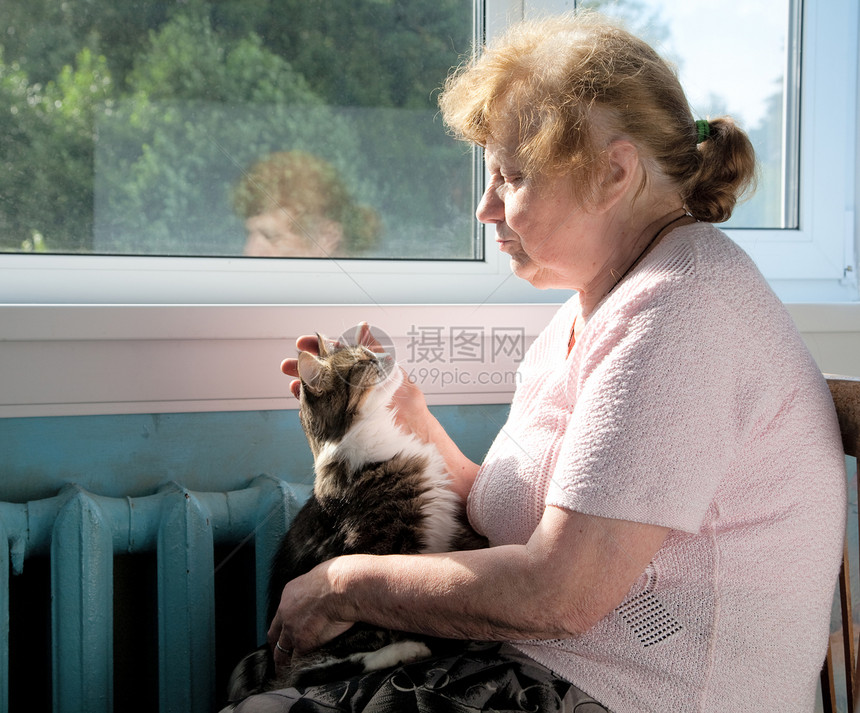 老女人爱抚猫图片