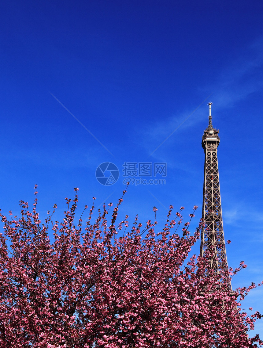 巴黎春天蓝色建筑学花朵季节性旅行地标天空粉色旅游季节图片