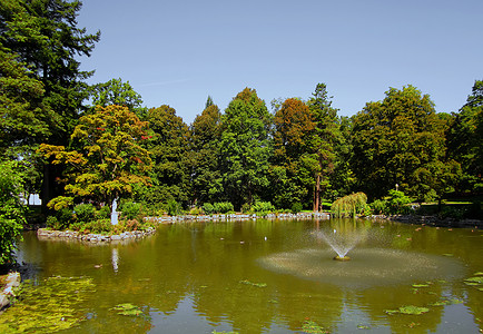 在公园中散步季节性橙子绿地灌木喷泉水池池塘黄色艺术品雕塑背景图片