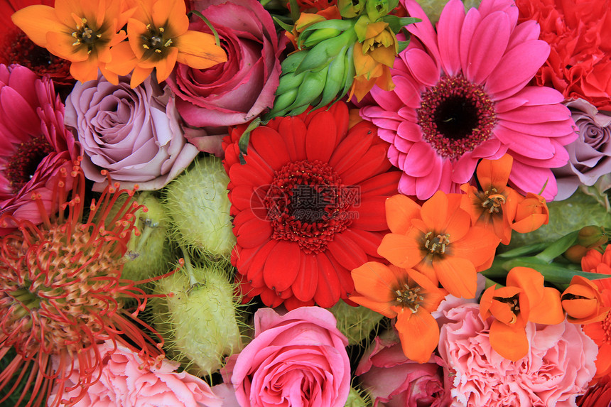 红色 粉红和橙色花朵安排植物学花瓣植物群粉色花束橙子花店绿色植物图片
