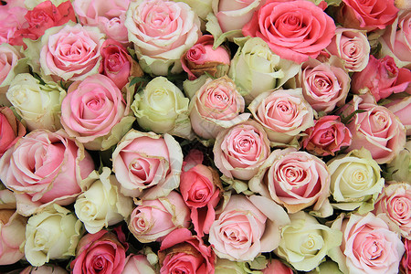 粉红玫瑰花朵安排花束植物新娘婚礼玫瑰植物群植物学花店花瓣白色背景图片
