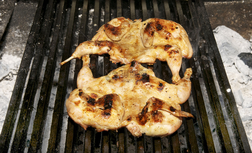 鸡肉在烤架上焙烧炉美食烹饪美食家营养鹌鹑家禽烧烤食物斑点图片