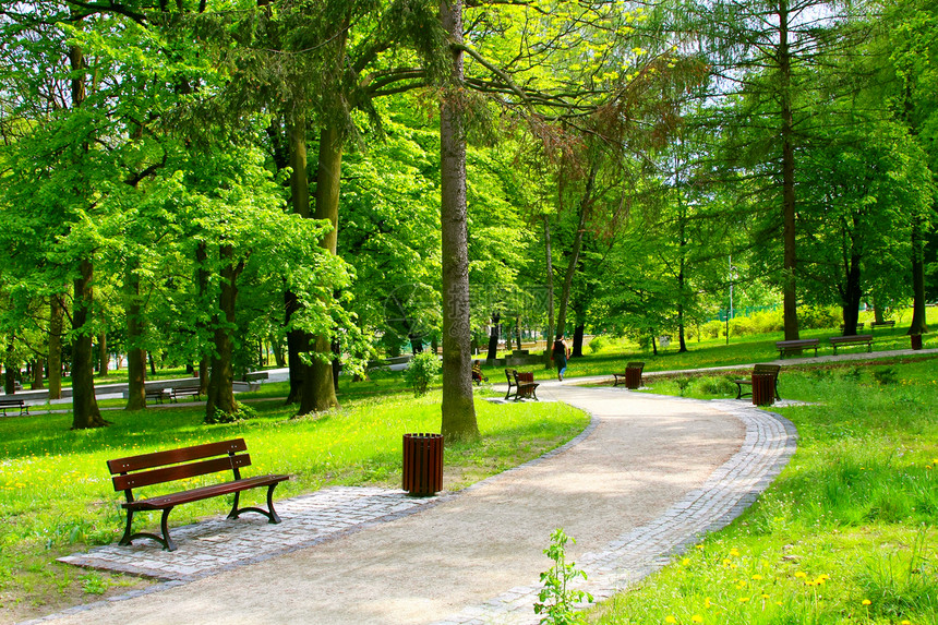 美丽的公园绿色植物花园场地小路长椅旅行农村草地环境胡同图片