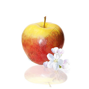 红苹果红色生态花朵食物水果白色粉色花蕾背景图片