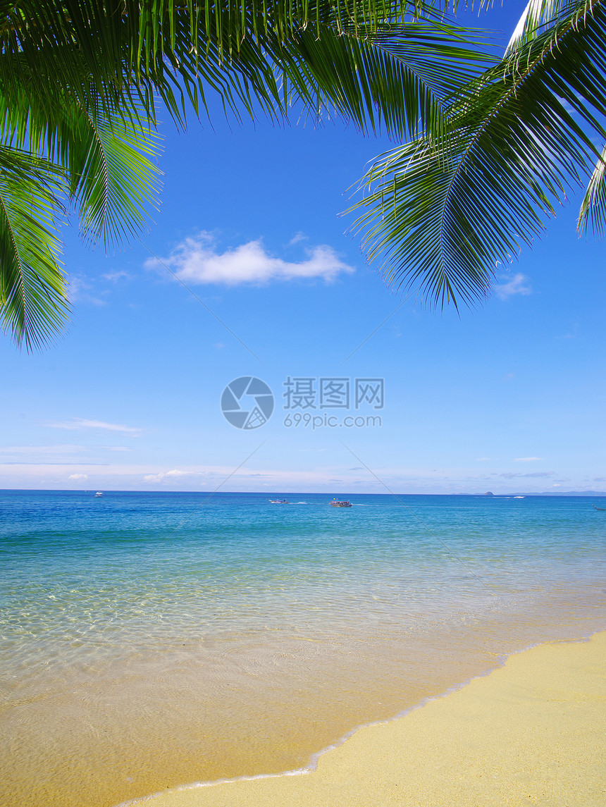 沙滩和热带海蓝色阳光太阳旅行晴天放松海浪海景假期支撑图片