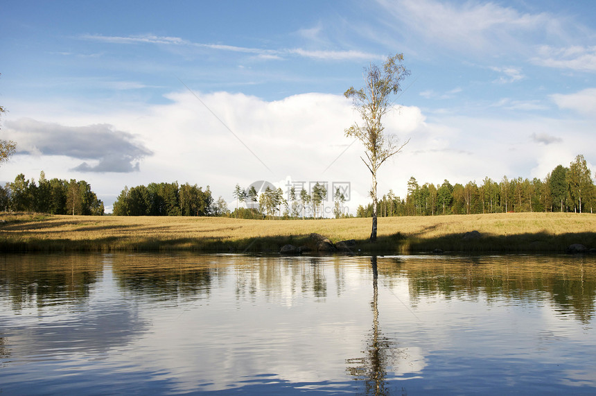 湖边的树日落蓝色天空反射阳光森林荒野太阳环境风景图片