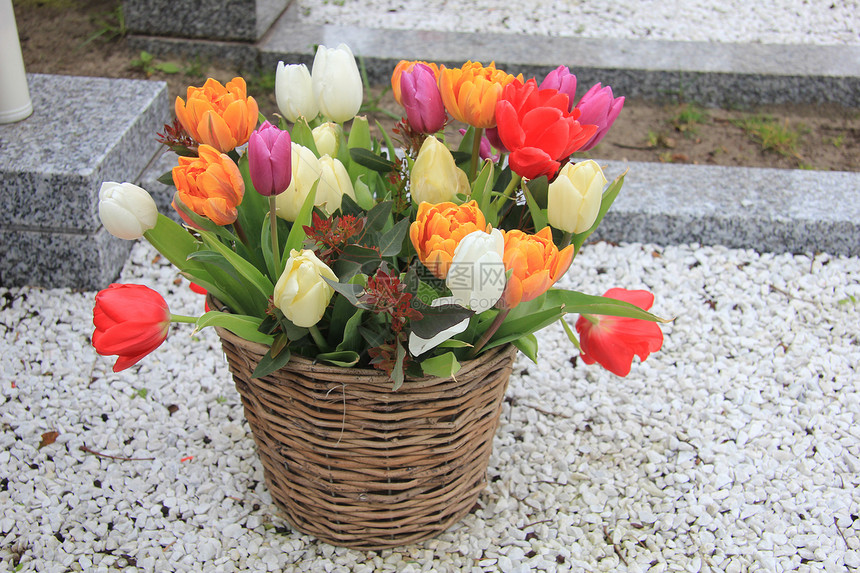 维杰篮子中的郁金香花束植物柳条白色红色花店橙子花瓣植物群绿色花朵图片
