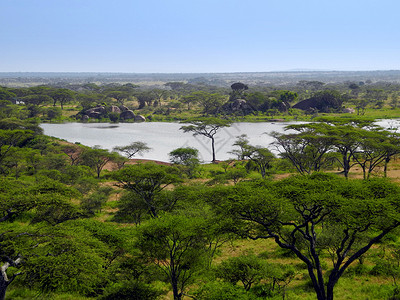 克拉霍布拉兹Panorama湖-Safari背景