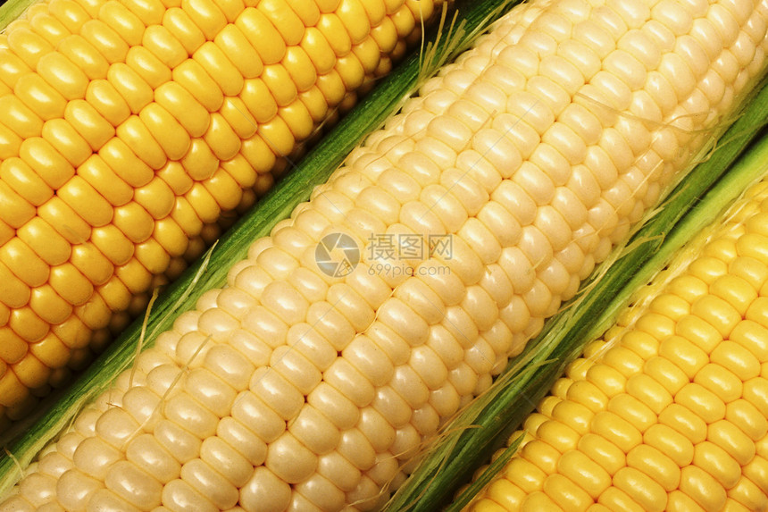 玉米角棒子农场美食耳朵薄片饮食玉米片烹饪核心收成图片