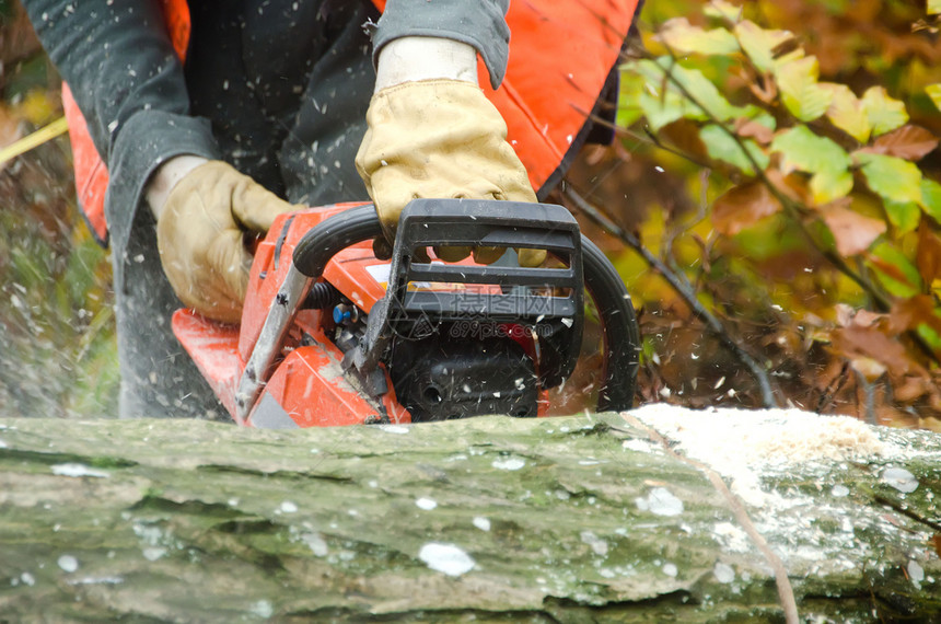 伐木工人和林木工人安全木头樵夫成年人工具木材链锯男性职业图片