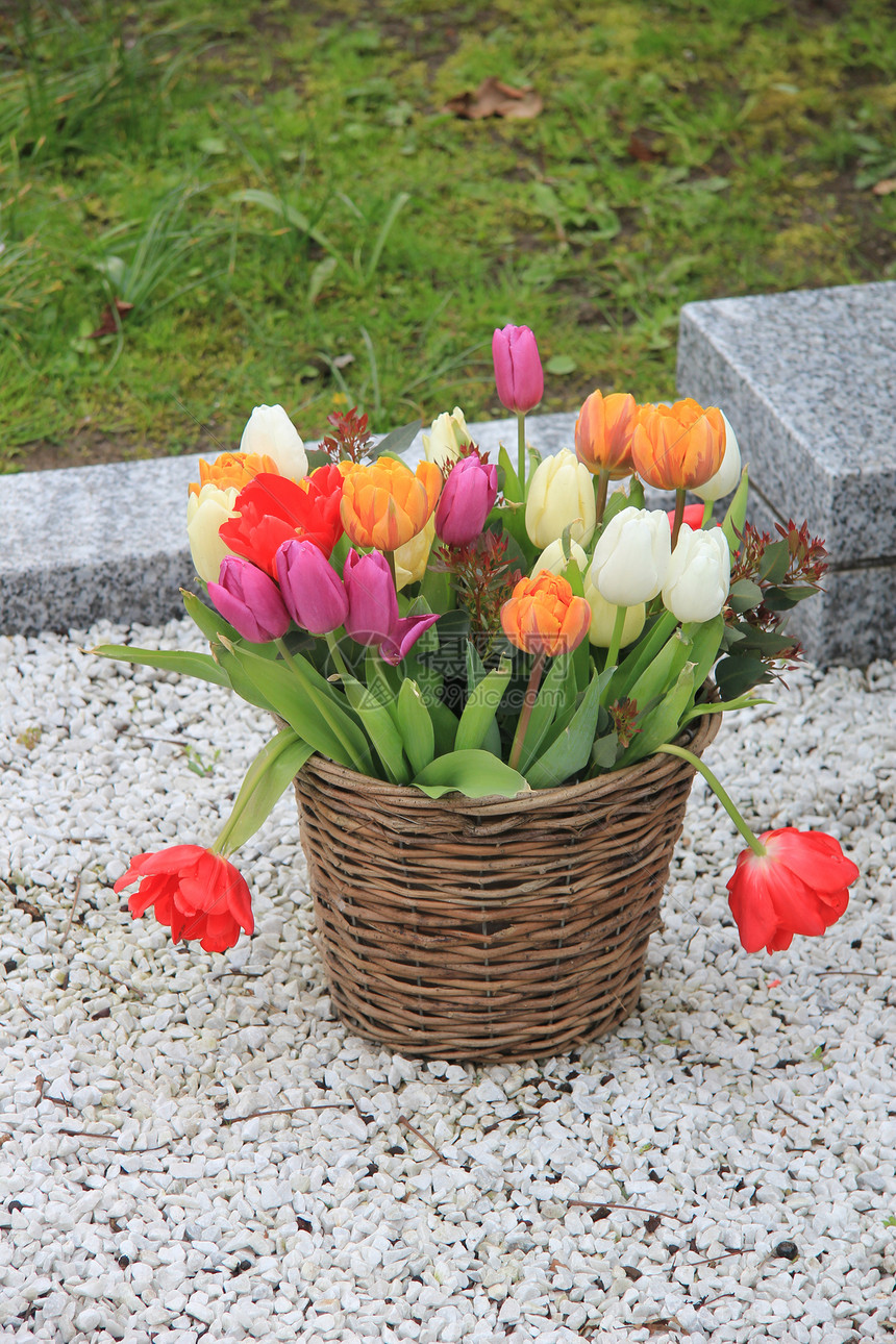 维杰篮子中的郁金香花束花朵橙子花瓣植物群绿色植物紫色红色白色花店图片