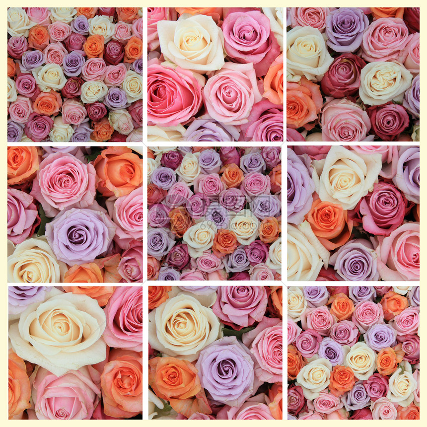 面粉玫瑰拼贴白色花朵紫色紫丁香花束绿色高分辨率收藏花瓣植物群图片