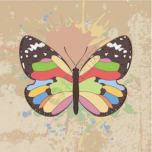 蝴蝶5插图昆虫动物群胡子触角转换数字化卡通片蝴蝶电脑背景图片