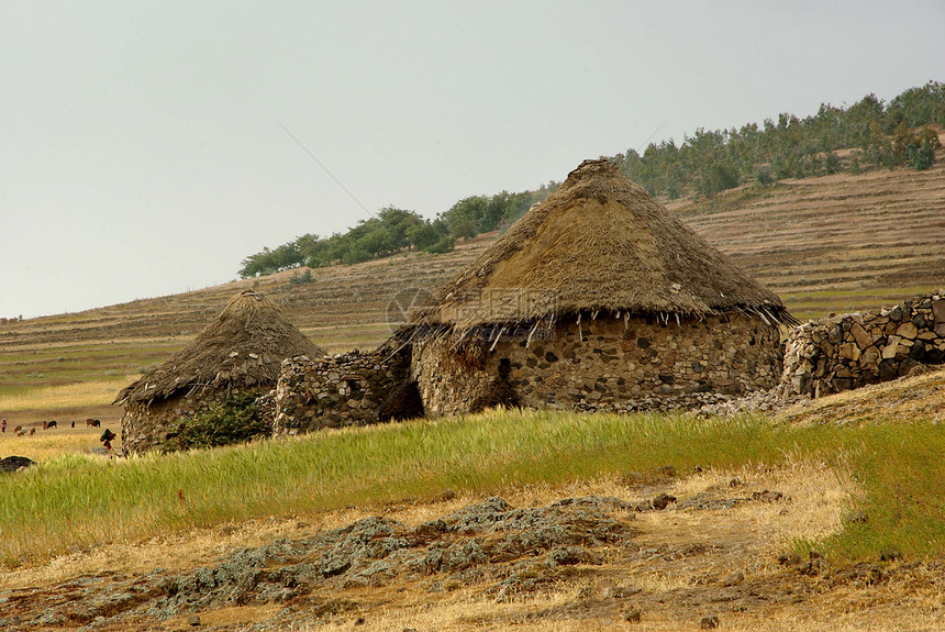 埃塞俄比亚的村庄乡村农村房子国家玉米建筑学棒子图片